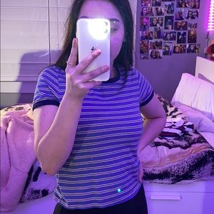 pacsun basics cropped striped tee